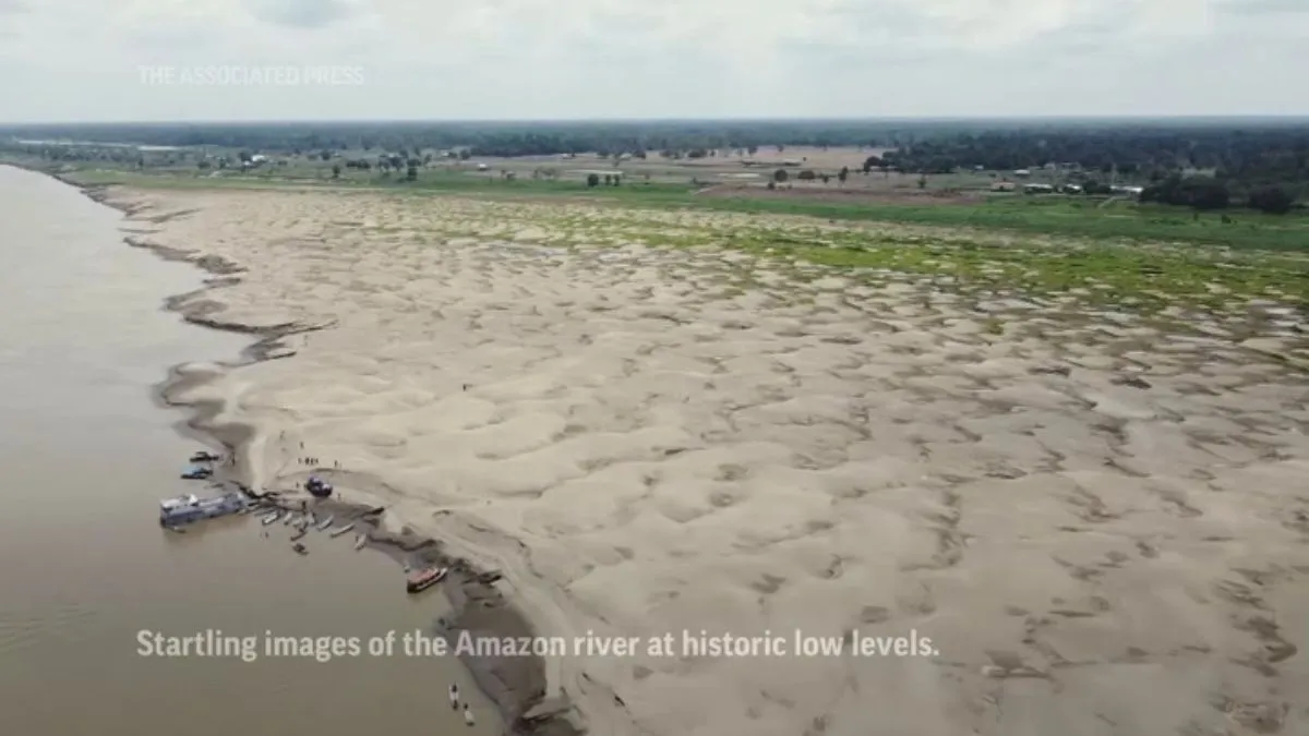 अमेजन नदी में आया 121 वर्षों का सबसे बड़ा सूखा। - India TV Hindi