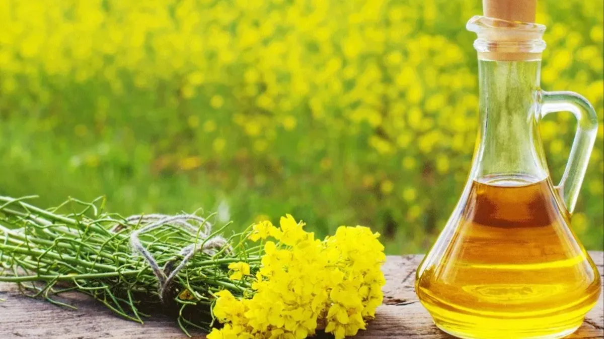 Health benefits of Mustard oil- India TV Hindi