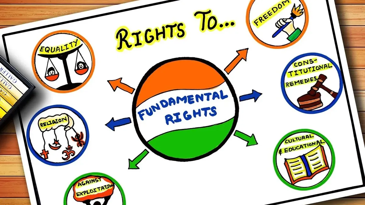 basic fundamental rights- India TV Hindi