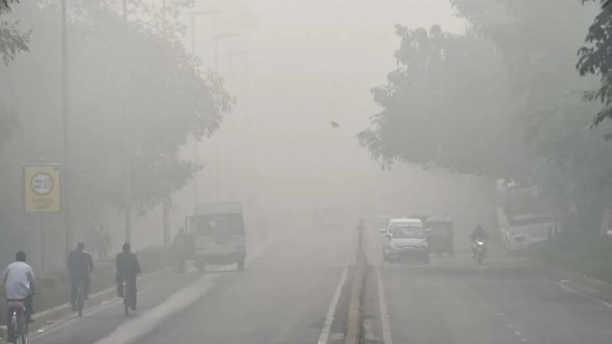 Delhi Fog- India TV Hindi