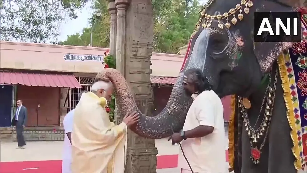 PM Modi Blessed By An elephant- India TV Hindi
