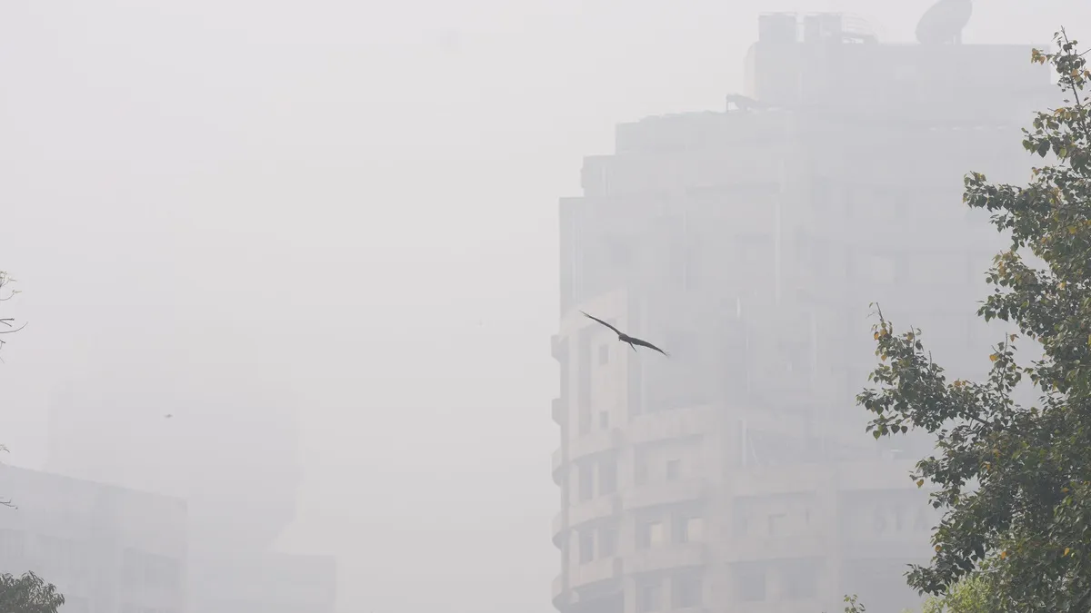 delhi fog- India TV Hindi