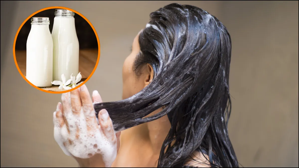 Milk For Hair Wash- India TV Hindi