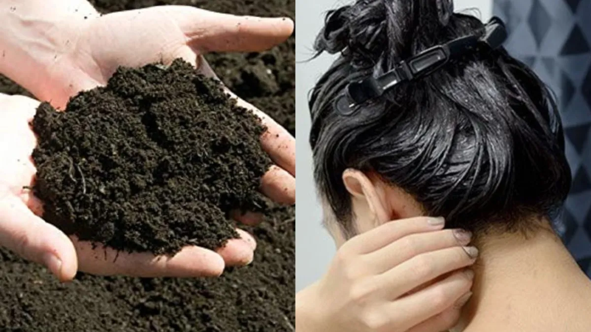 black Soil for hair - India TV Hindi