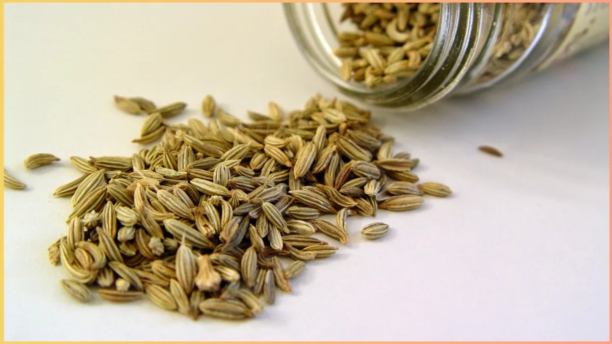 fennel seeds in diabetes- India TV Hindi