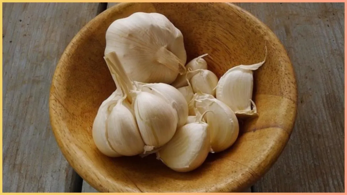 garlic in high uric acid- India TV Hindi