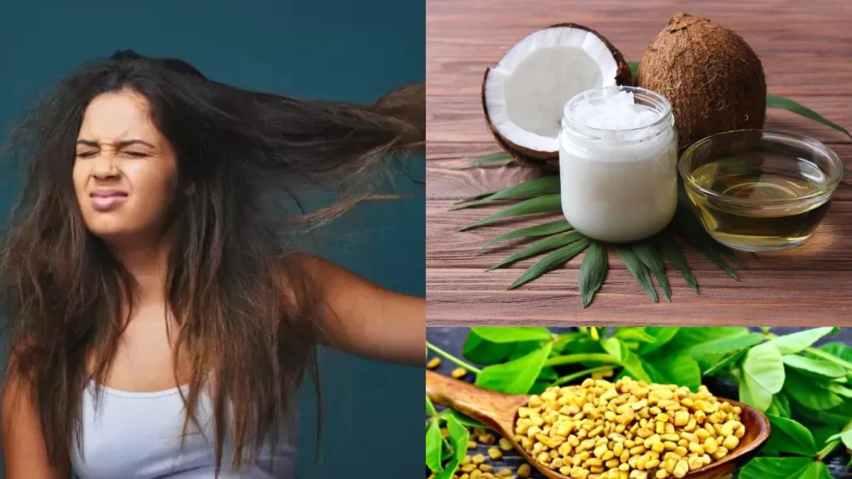 Homemade Oil For Hair - India TV Hindi