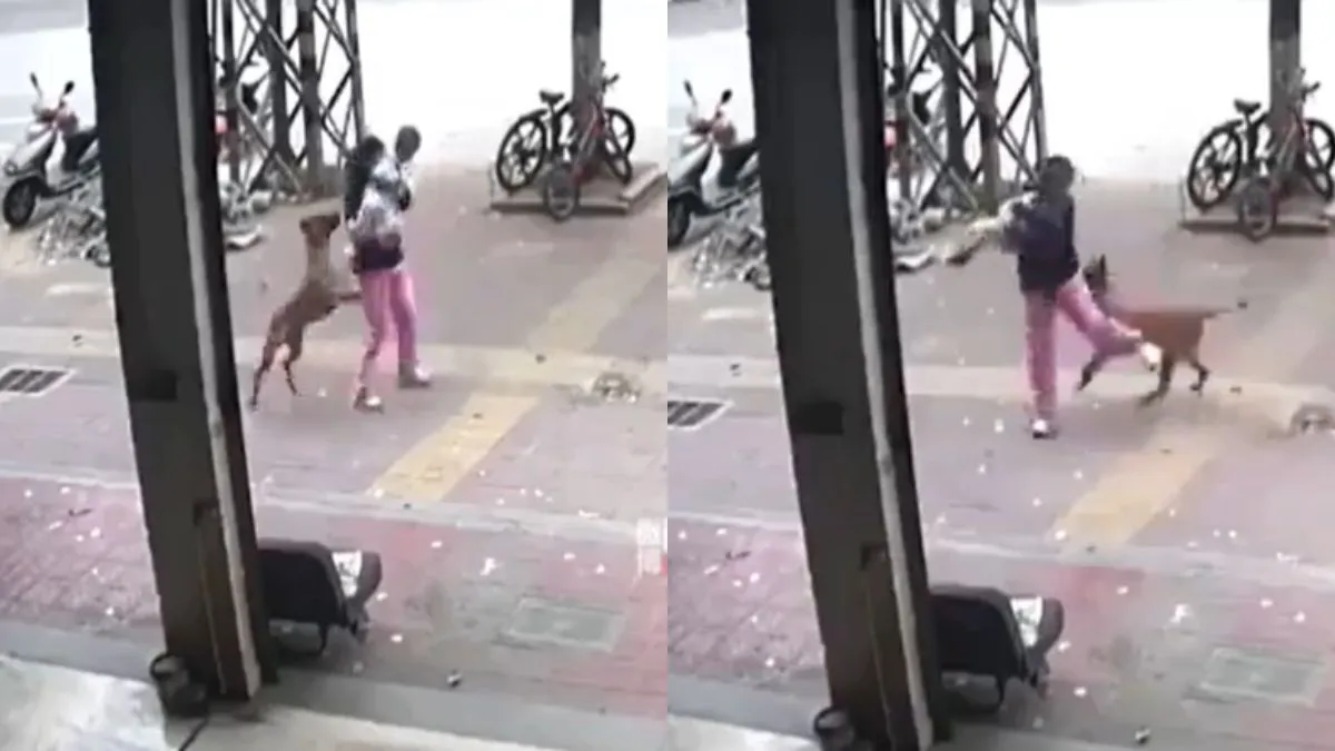अवारा कुत्ते ने बच्चे पर किया हमला- India TV Hindi
