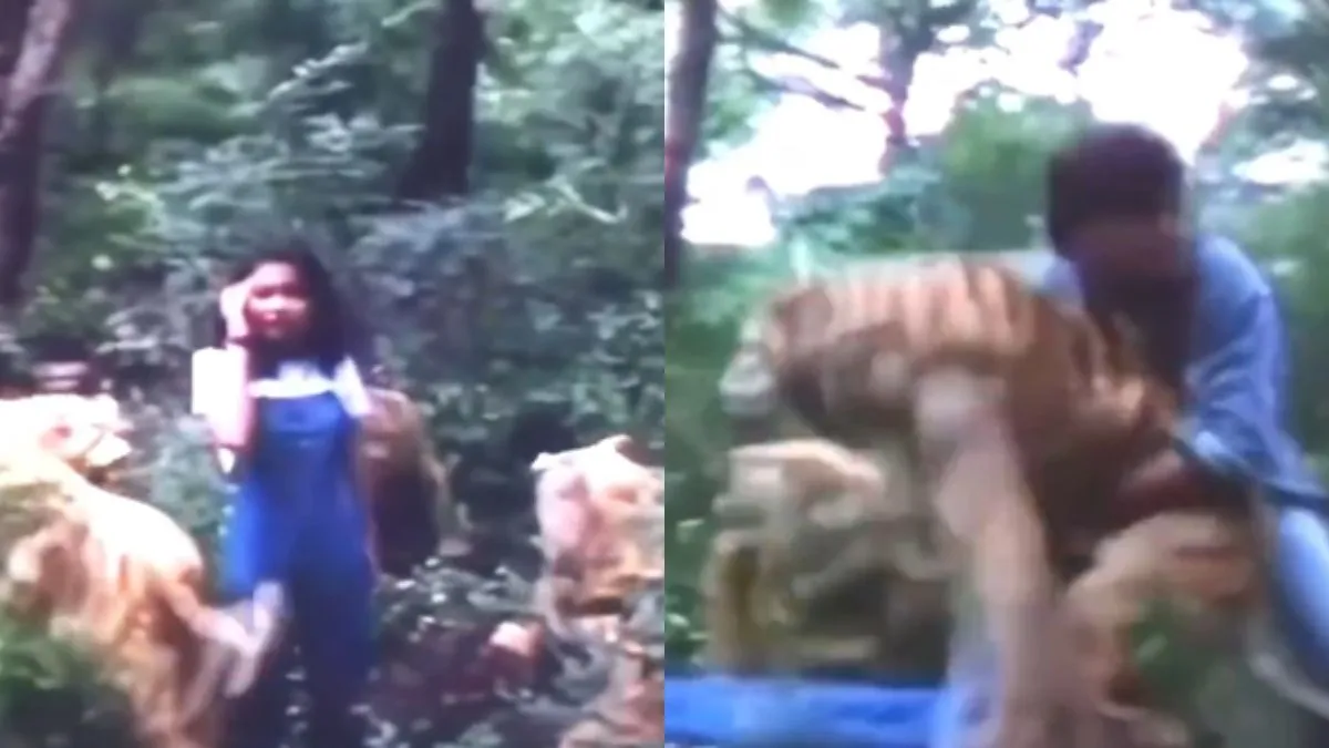 बाघों से अकेले लड़ता हुआ शख्स।- India TV Hindi