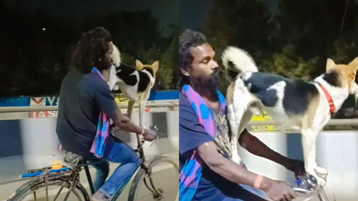 साइकिल पर कुत्ते के साथ सफर करते हुए दिखा शख्स।- India TV Hindi