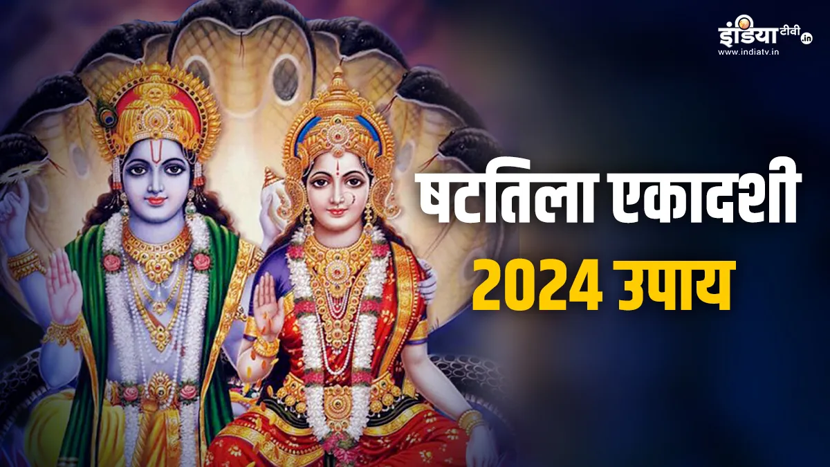 Shattila Ekadashi Upay 2024- India TV Hindi