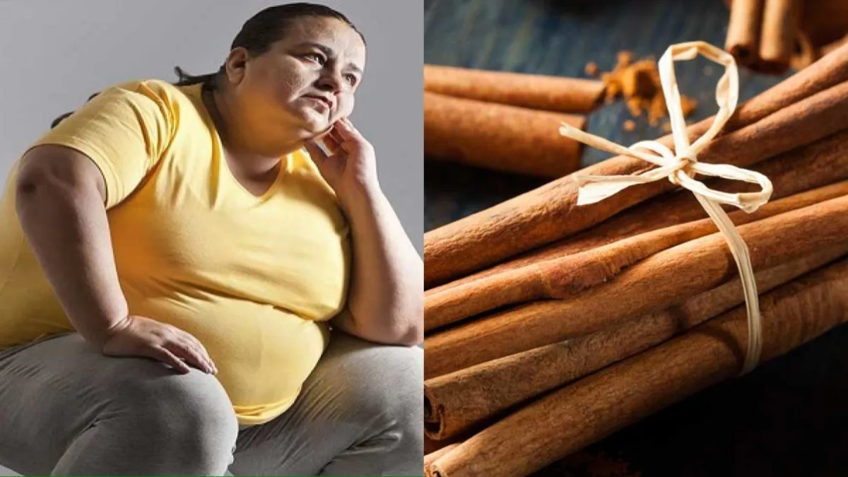 Cinnamon is beneficial for obesity,- India TV Hindi