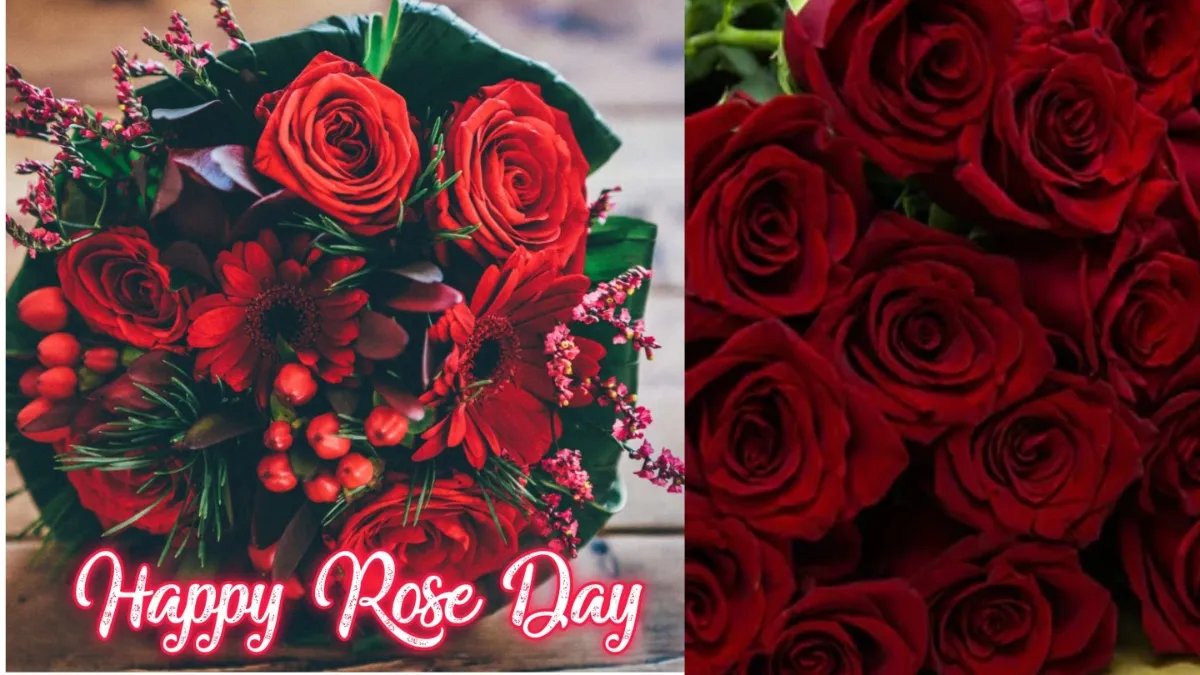 Rose Day- India TV Hindi