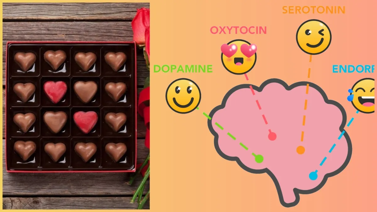 benefits of Chocolate for brain dopamine happy hormone- India TV Hindi