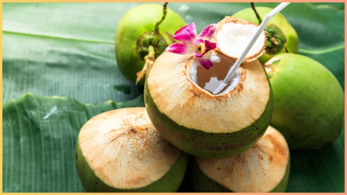 coconut water in high bp- India TV Hindi