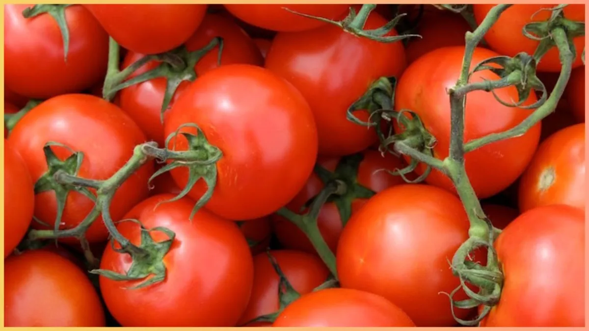 tomato for mouth ulcer - India TV Hindi