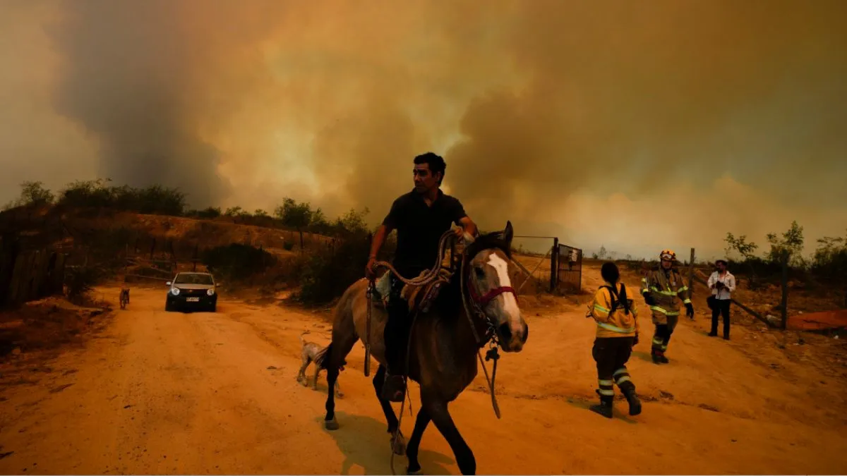 चिली के जंगलों में लगी भीषण आग से मची अफरातफरी। - India TV Hindi