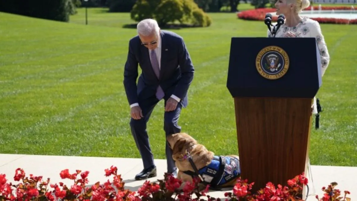 अमेरिकी राष्ट्रपति जो बाइडेन का कुत्ता कमांडर।- India TV Hindi