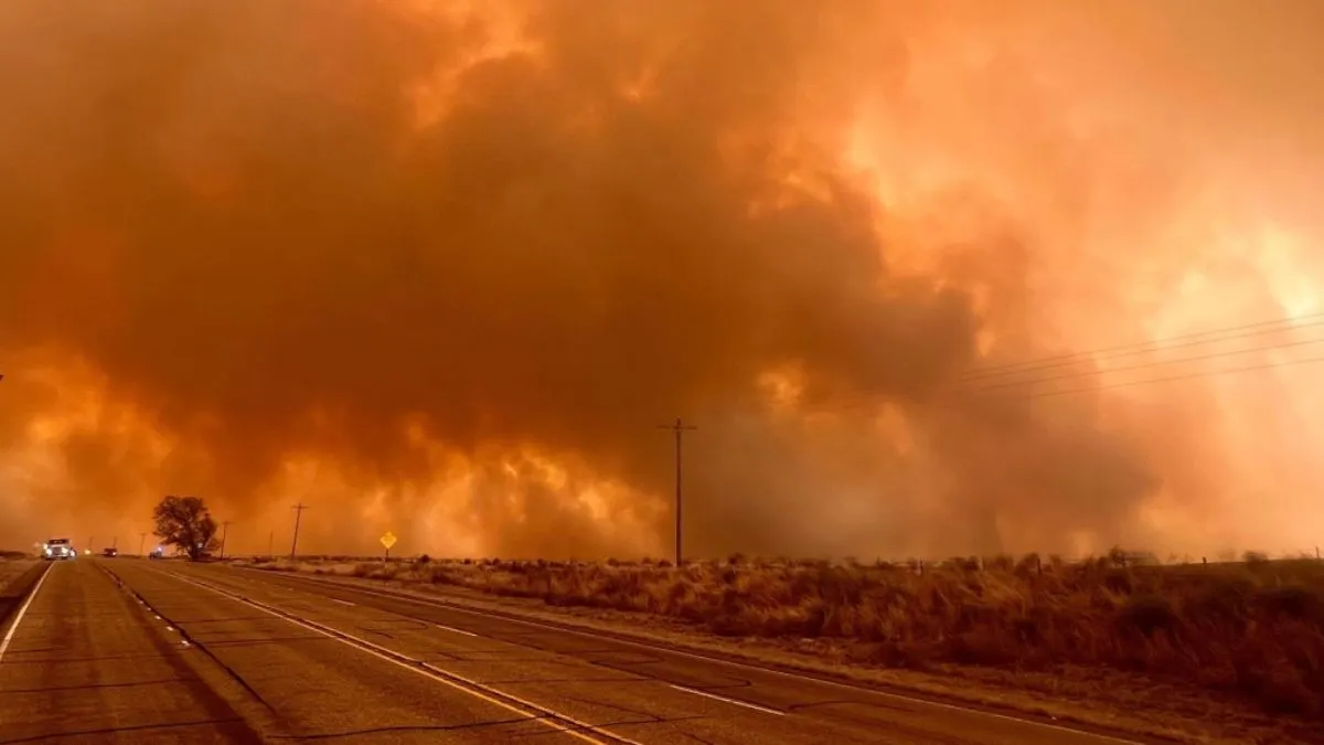 टेक्सास में लगी आग का भयावह दृश्य।- India TV Hindi