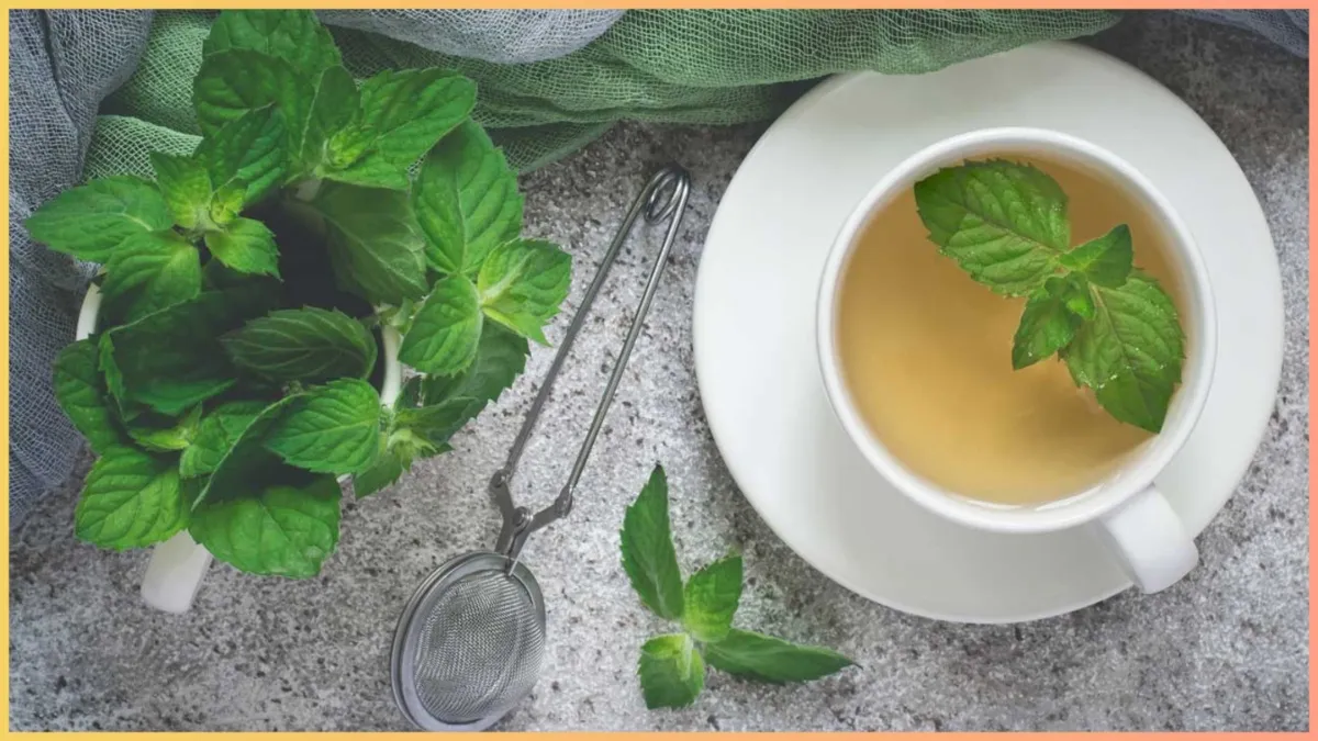  mint tea pudina chai benefits- India TV Hindi