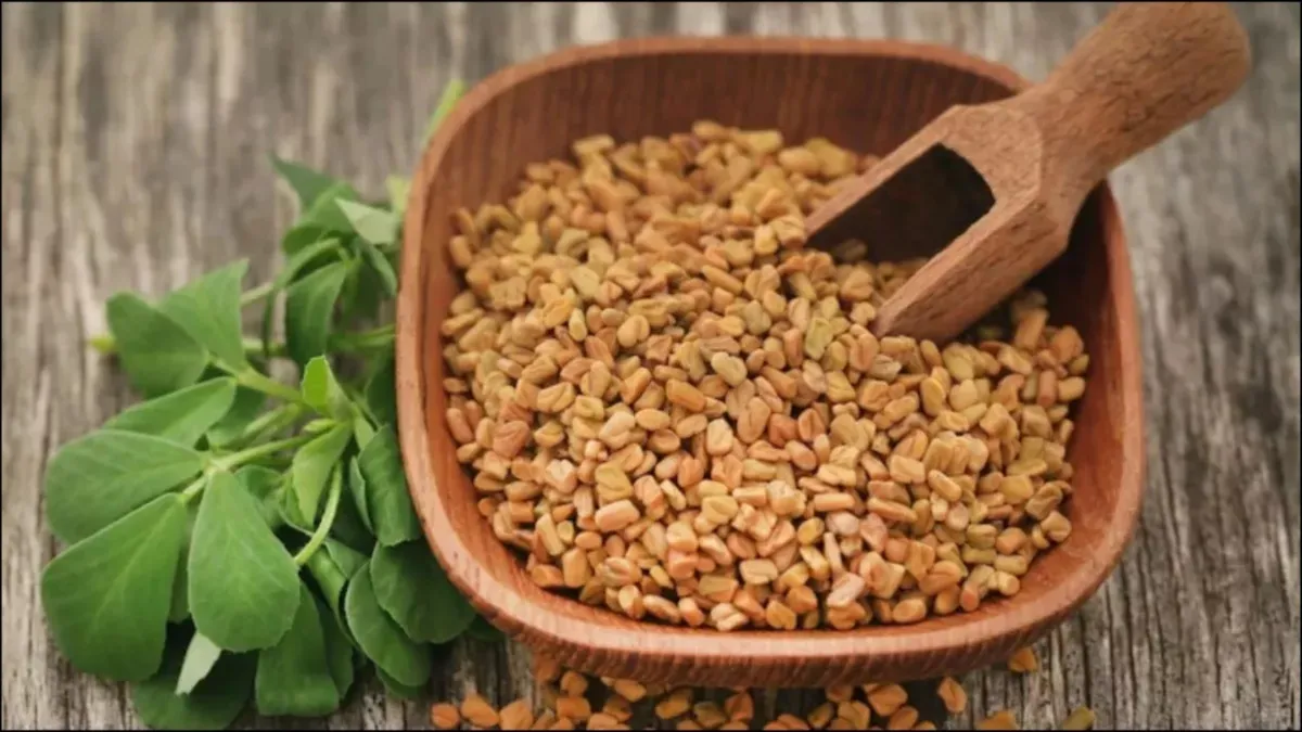  fenugreek seeds Benefits - India TV Hindi