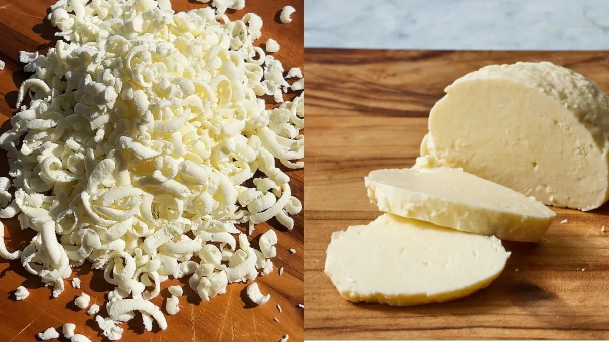 How to make mozzarella cheese at home- India TV Hindi