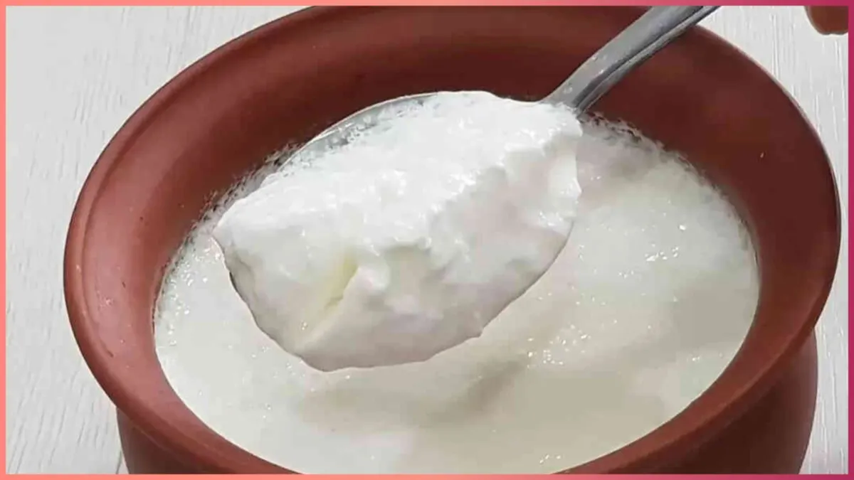 curd good for lowering cholesterol- India TV Hindi