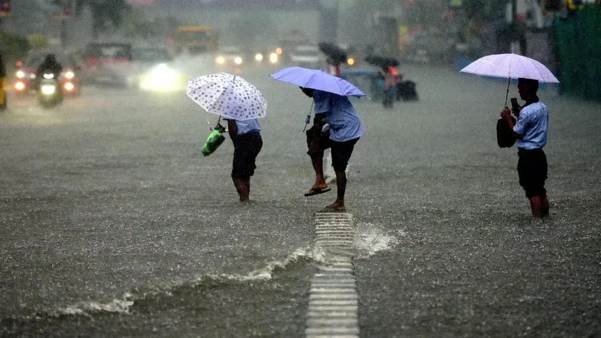 Rainfall- India TV Hindi