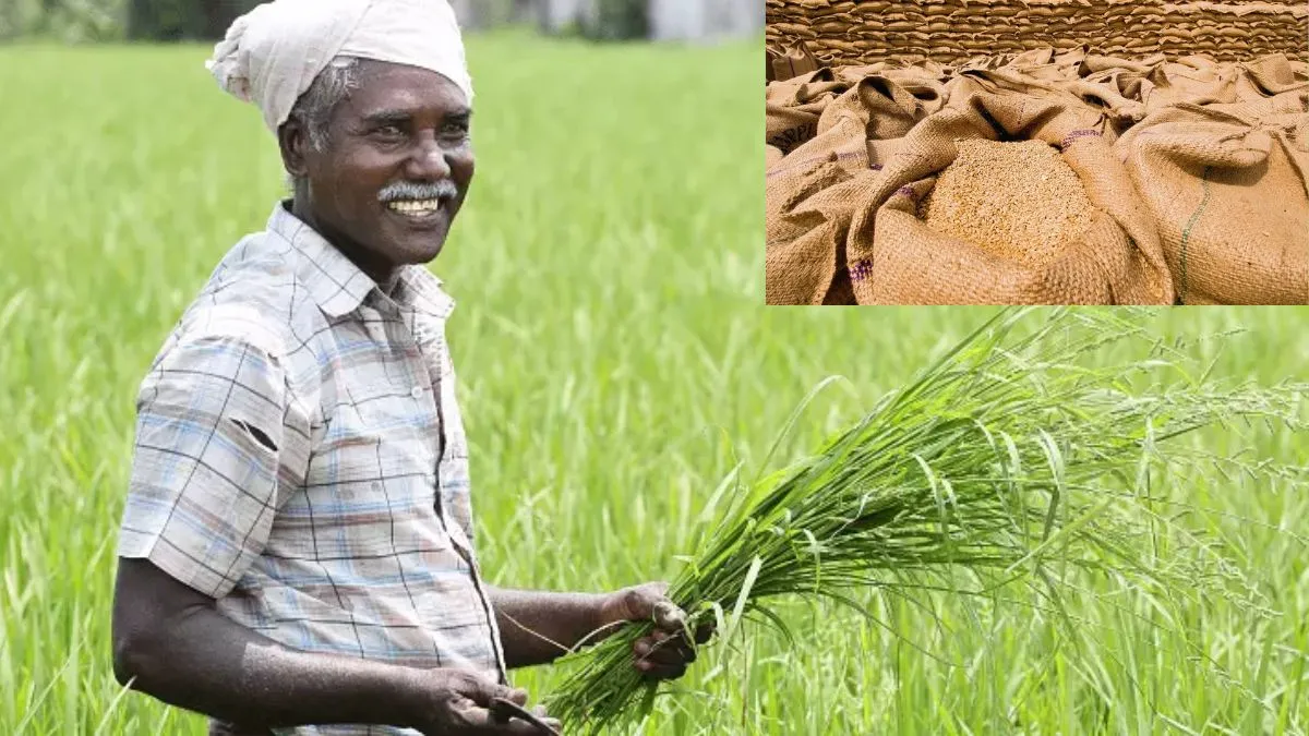 Wheat Procurement from farmers - India TV Paisa