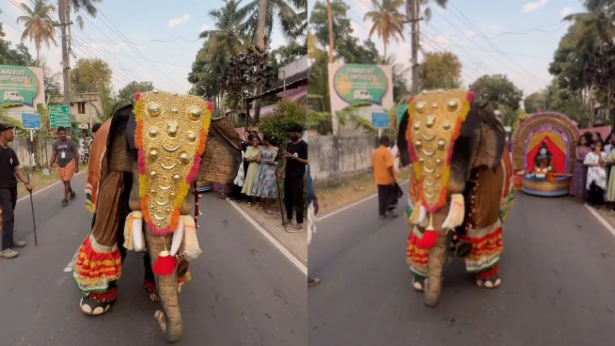 सड़क पर डांस करता हुआ हाथी!- India TV Hindi