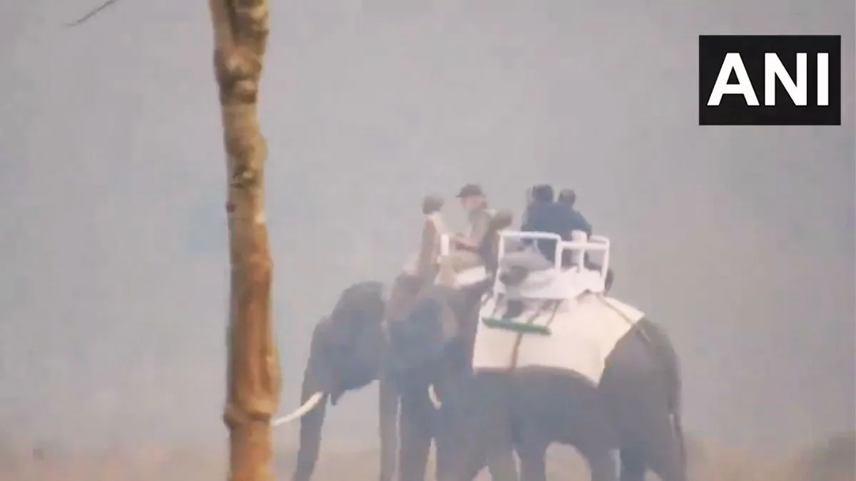 हाथी पर सवार दिखे पीएम मोदी।- India TV Hindi