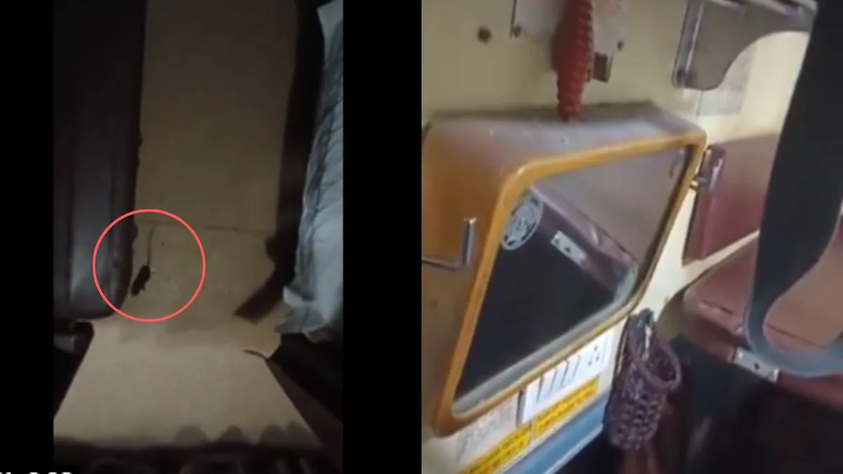 ट्रेन में घूमता चूहा...- India TV Hindi