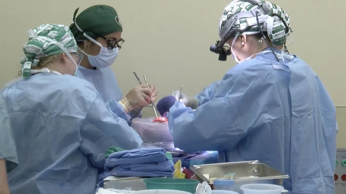 अमेरिकी डॉक्टरों ने 62 वर्षीय मरीज में ट्रांसप्लांट की सुअर की किडनी।- India TV Hindi