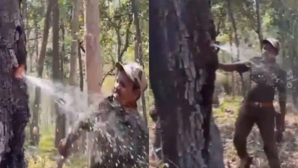 पेड़ से पानी निकलता हुआ।- India TV Hindi