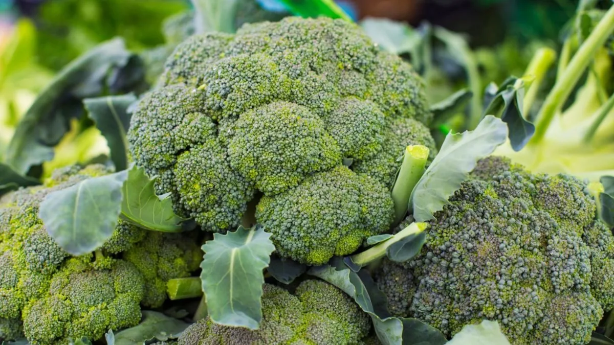Health benefits of Broccoli - India TV Hindi