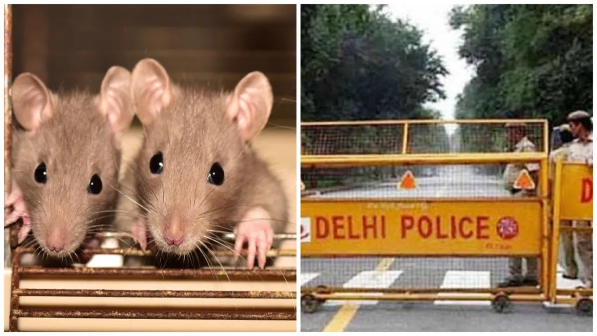 delhi police invstigate security guard death case in delhi rat bite found on body- India TV Hindi