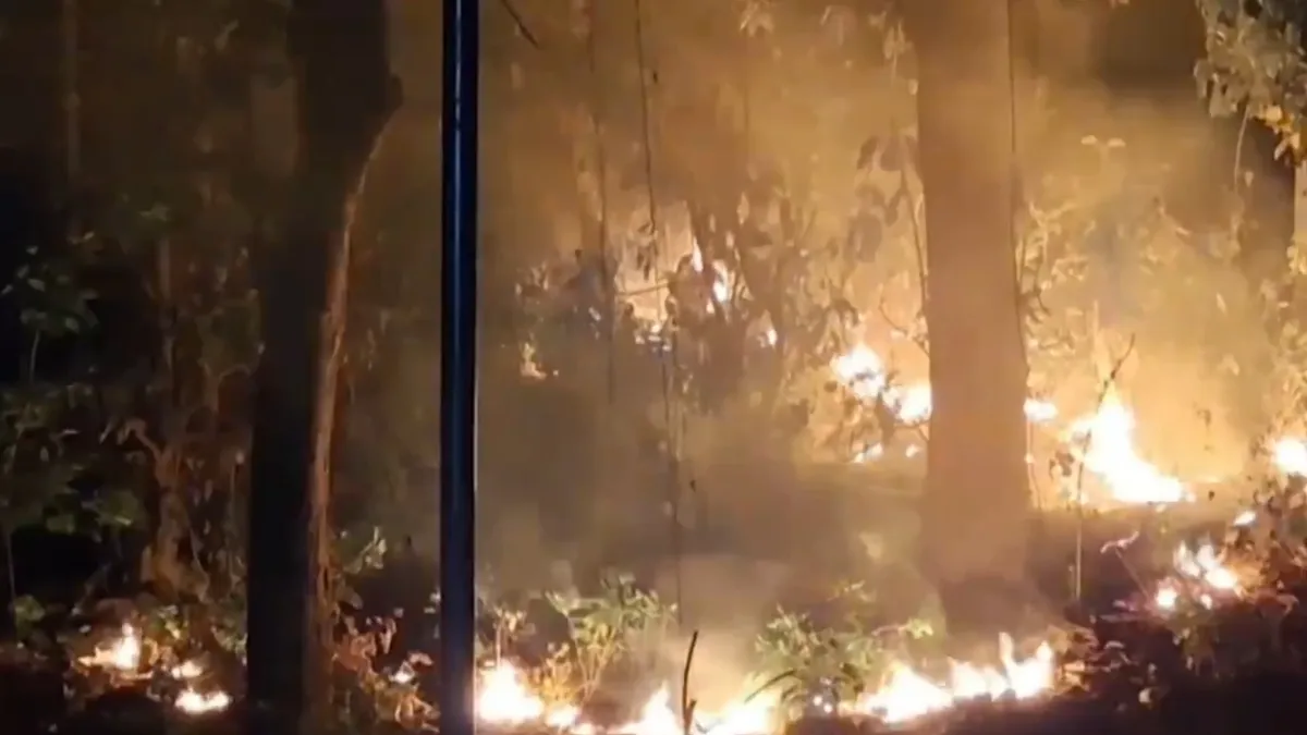 Nanital Forest Fire- India TV Hindi