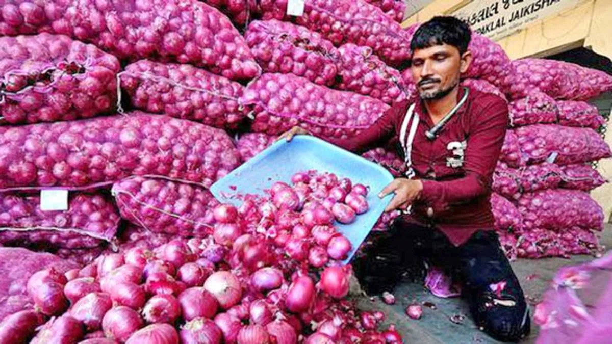 Onion Export - India TV Paisa