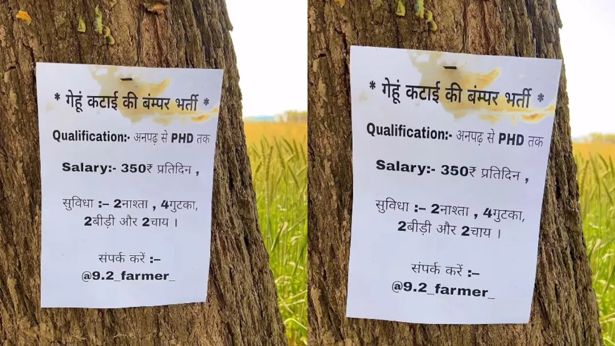 नौकरी के लिए पेड़ पर लगा विज्ञापन- India TV Hindi