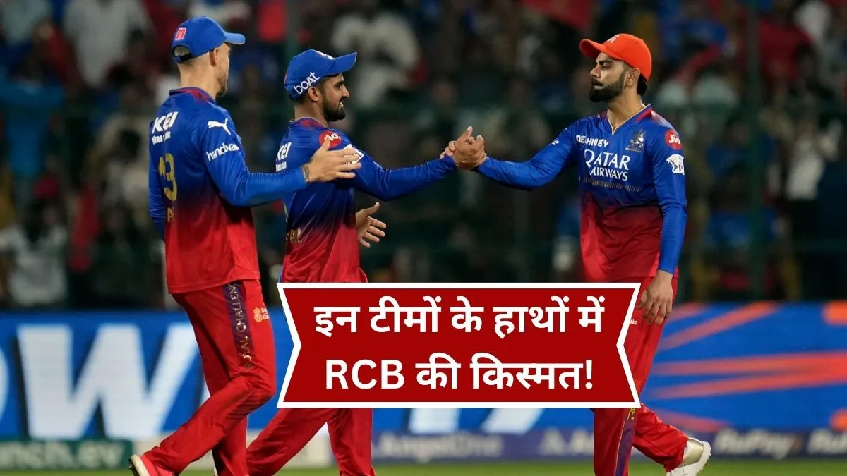 RCB Playoffs Scenario- India TV Hindi