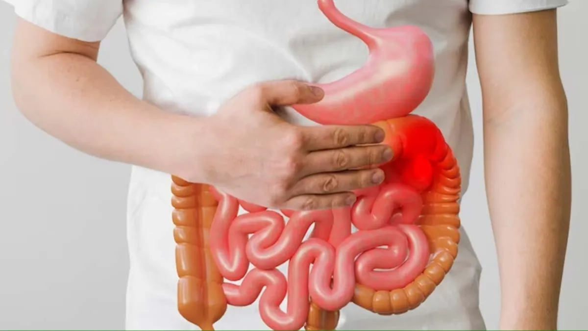 World Digestive Health Day:- India TV Hindi