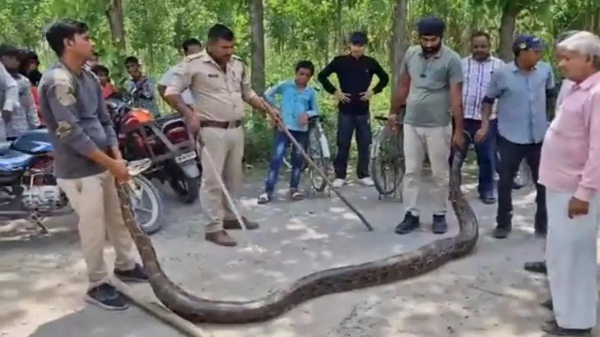 python- India TV Hindi