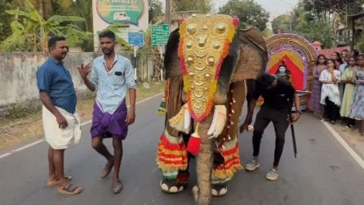 धार्मिक अनुष्ठान के लिए लाया गया हाथी- India TV Hindi