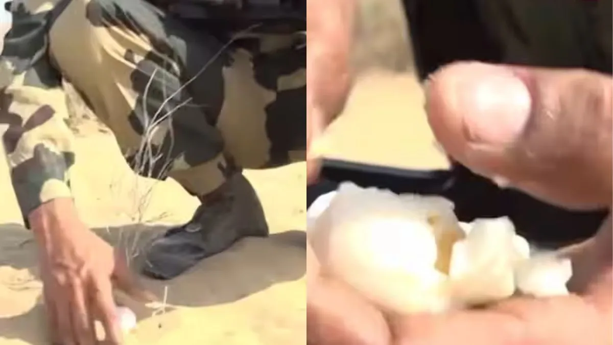 रेत से अंडा निकालते हुए BSF जवान- India TV Hindi