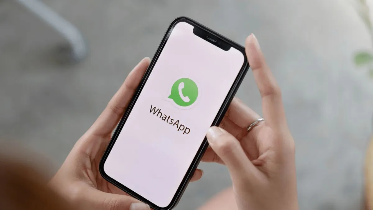 WhatsApp, WhatsApp Users, WhatsApp Offline File Sharing Feature, WhatsApp New Features, WhatsApp Upc- India TV Hindi