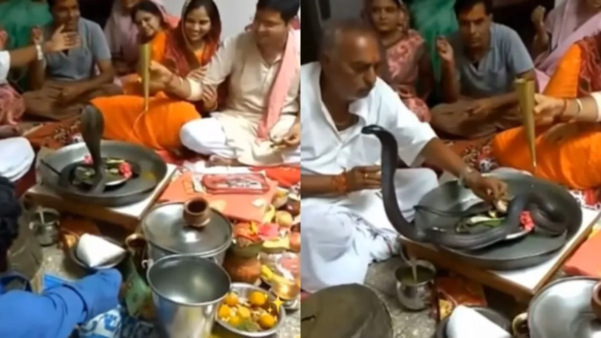 नाग की पूजा करते हुए परिवार के लोग - India TV Hindi
