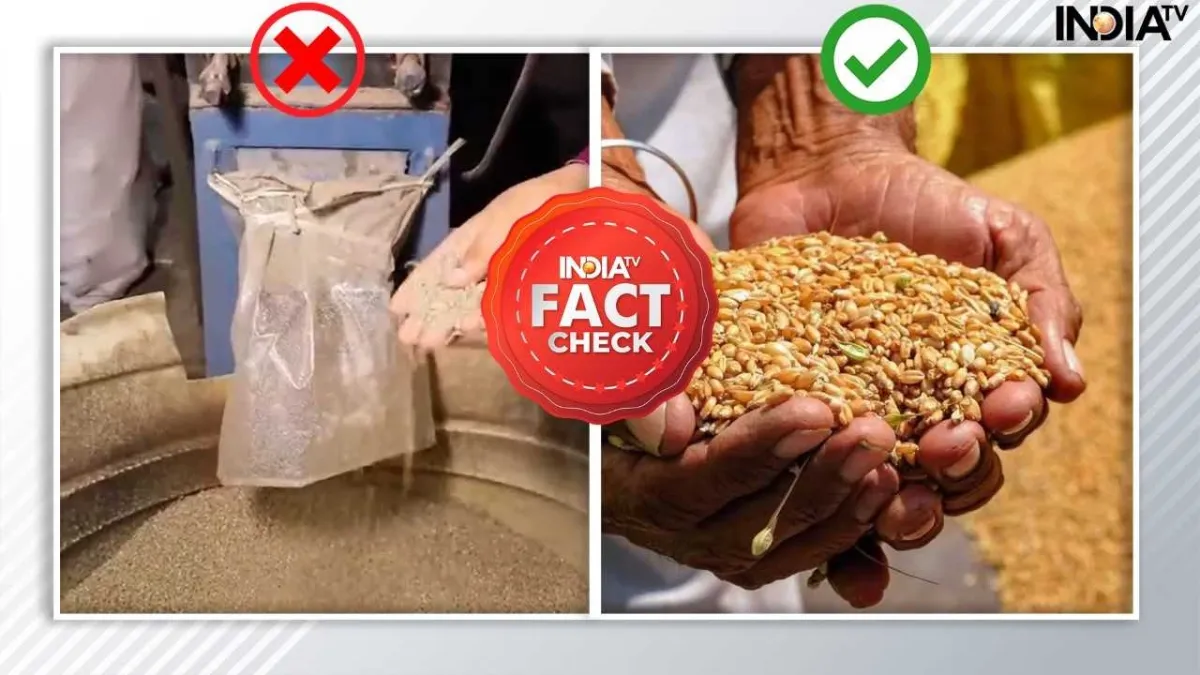 प्लास्टिक के गेहूं का फैक्ट चेक- India TV Hindi