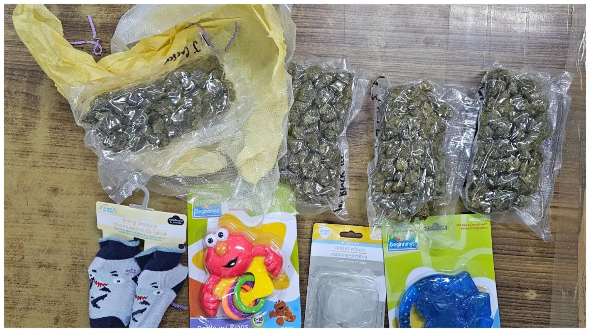 Drugs were sent hidden in toys Ahmedabad Crime Branch Unit seized them at the airport- India TV Hindi