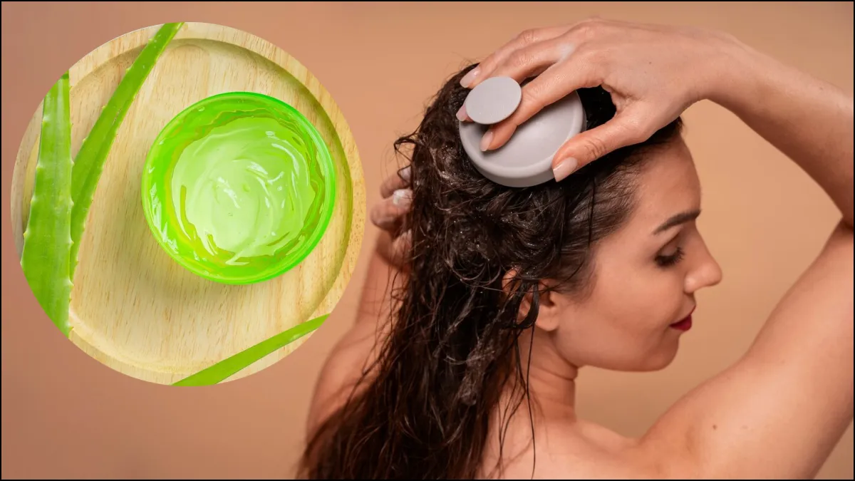 Aloe Vera Hair Conditioner - India TV Hindi