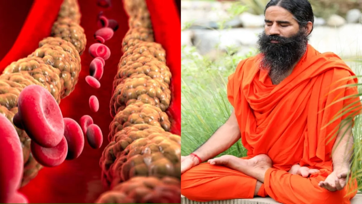 Baba Ramdev Tips for cholesterol level - India TV Hindi